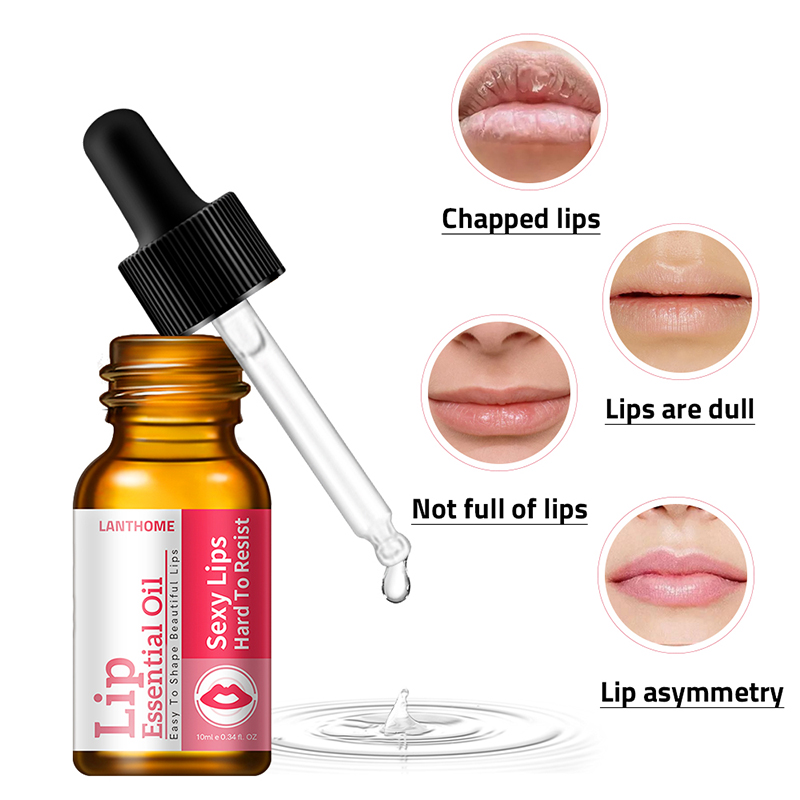 New Wholesale  Plump  Lip Essential Oil Best Lip Enhancer Plumper Gloss from China supplier