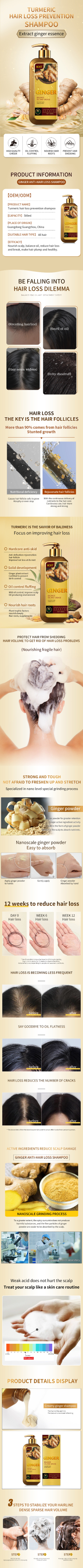 Custom Low MOQ 500ml Ginger Anti-Loss Shampoo Hair Regrowth Treatment Shampoo Oil Control Turmeric Hair-loss Prevent Shampoo from China supplier
