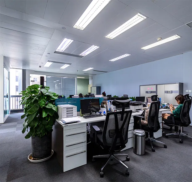 China manufacture premium cheap beauty tone prism dahab soft color colored contact lens lenses from China supplier