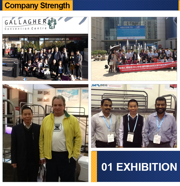 Высокий круг задней бархатной ткани роскошный набор из 6 ужина