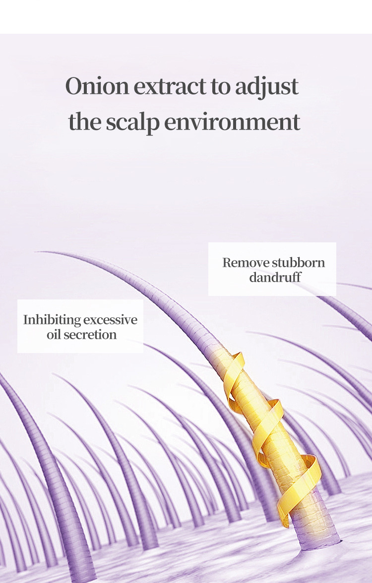 Private Label High Quality Natural Biotin Rosemary Shampoo and Conditioner Anti Hair Loss Set Beauty Women Products from China supplier