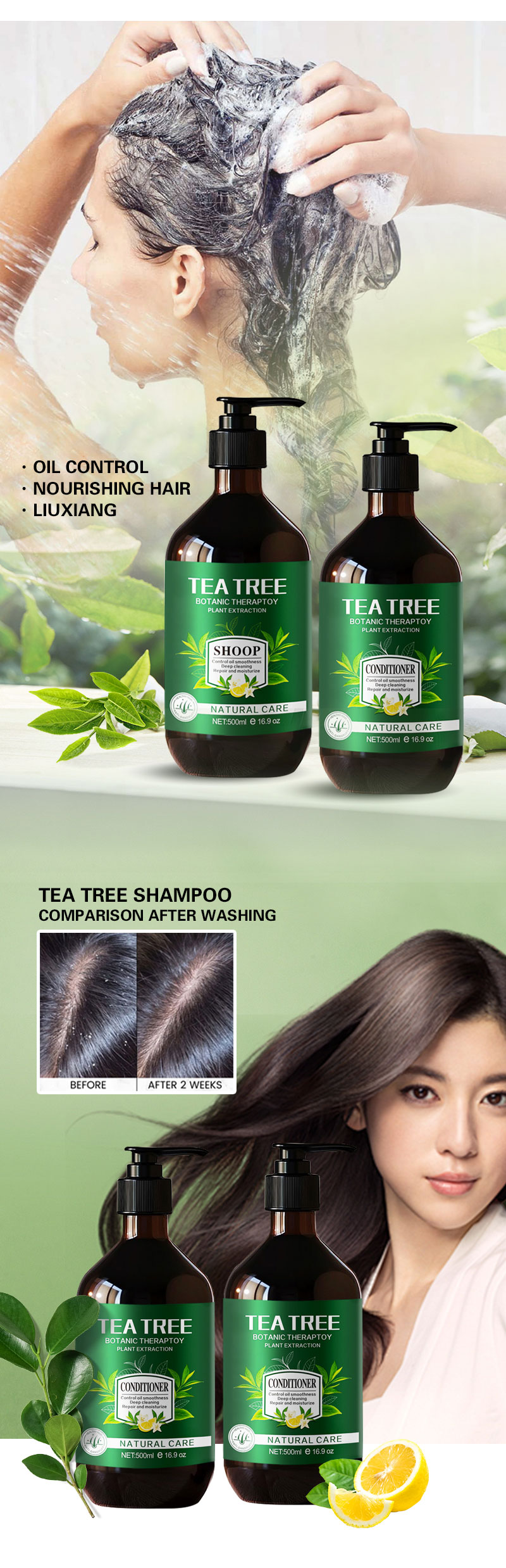 Private Label Beauty Natural Organic Hair Loss Tea Tree Oil Control Anti-Dandruff Shampoo and Conditioner Hair Loss Products from China supplier