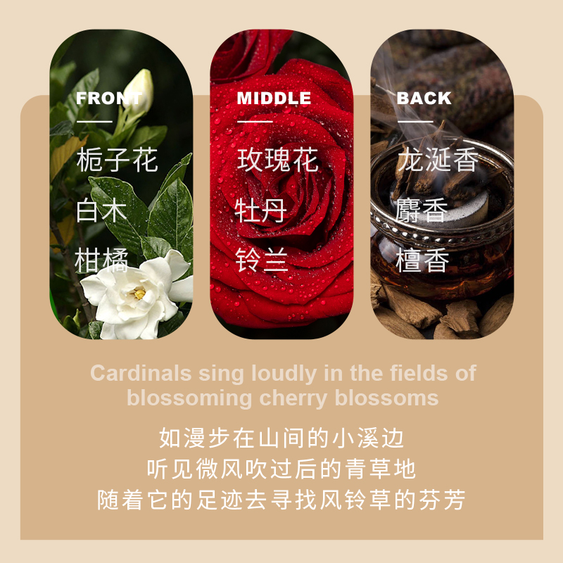 Private Label Collagen Moisturizing Hair Cream Hydrating Repairing Hair Mask Treatment Curly Free Evaporation Hair Film from China supplier