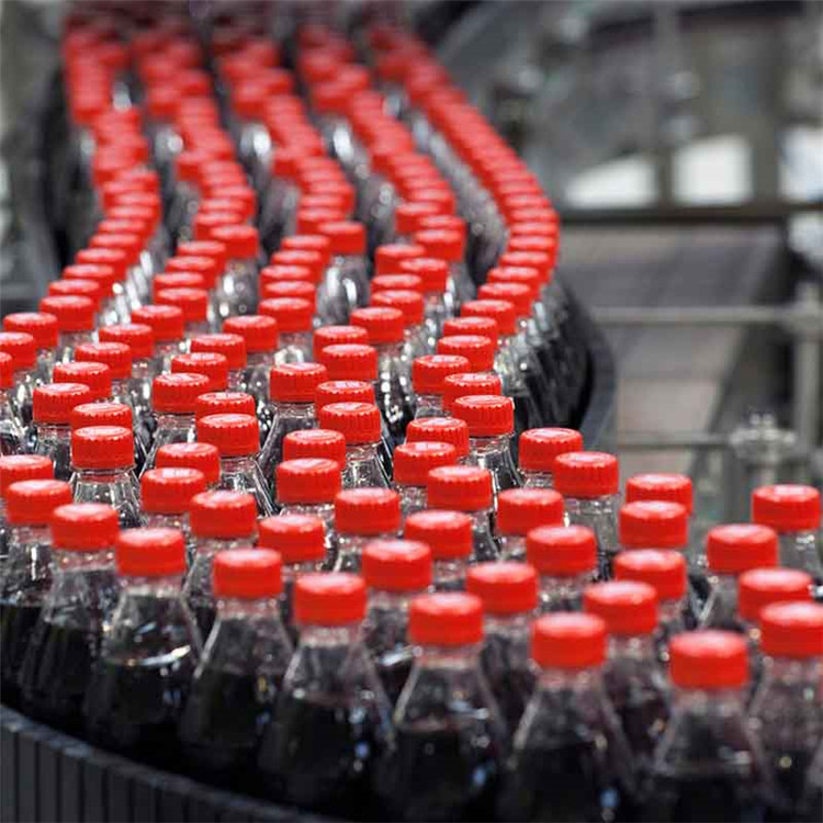 FAYGO Linear Automatic Washing Filling Machine and Capping Production Line from China supplier