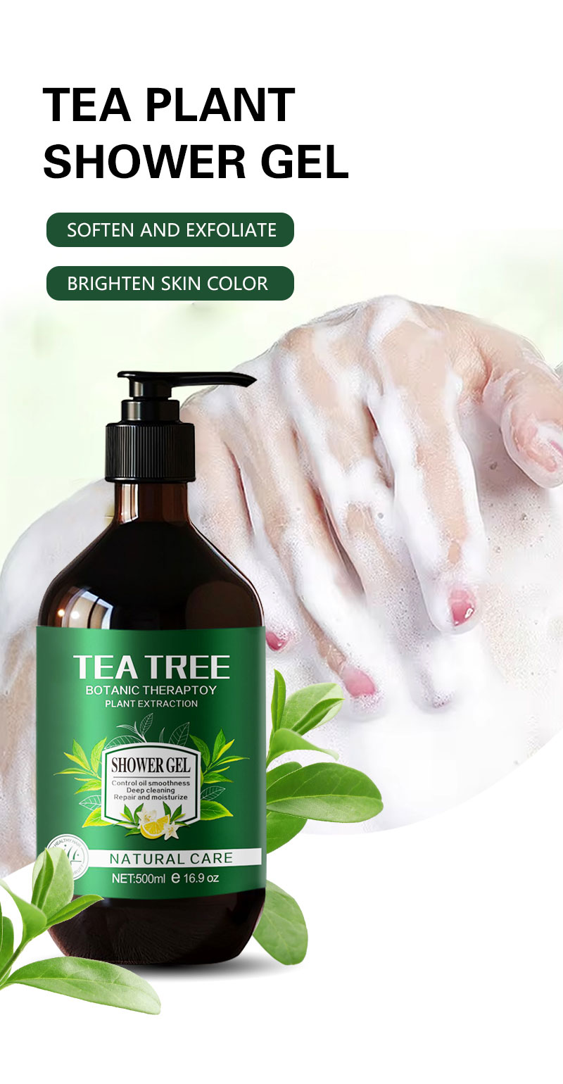 Private Label Beauty Natural Organic Hair Loss Tea Tree Oil Control Anti-Dandruff Shampoo and Conditioner Hair Loss Products from China supplier