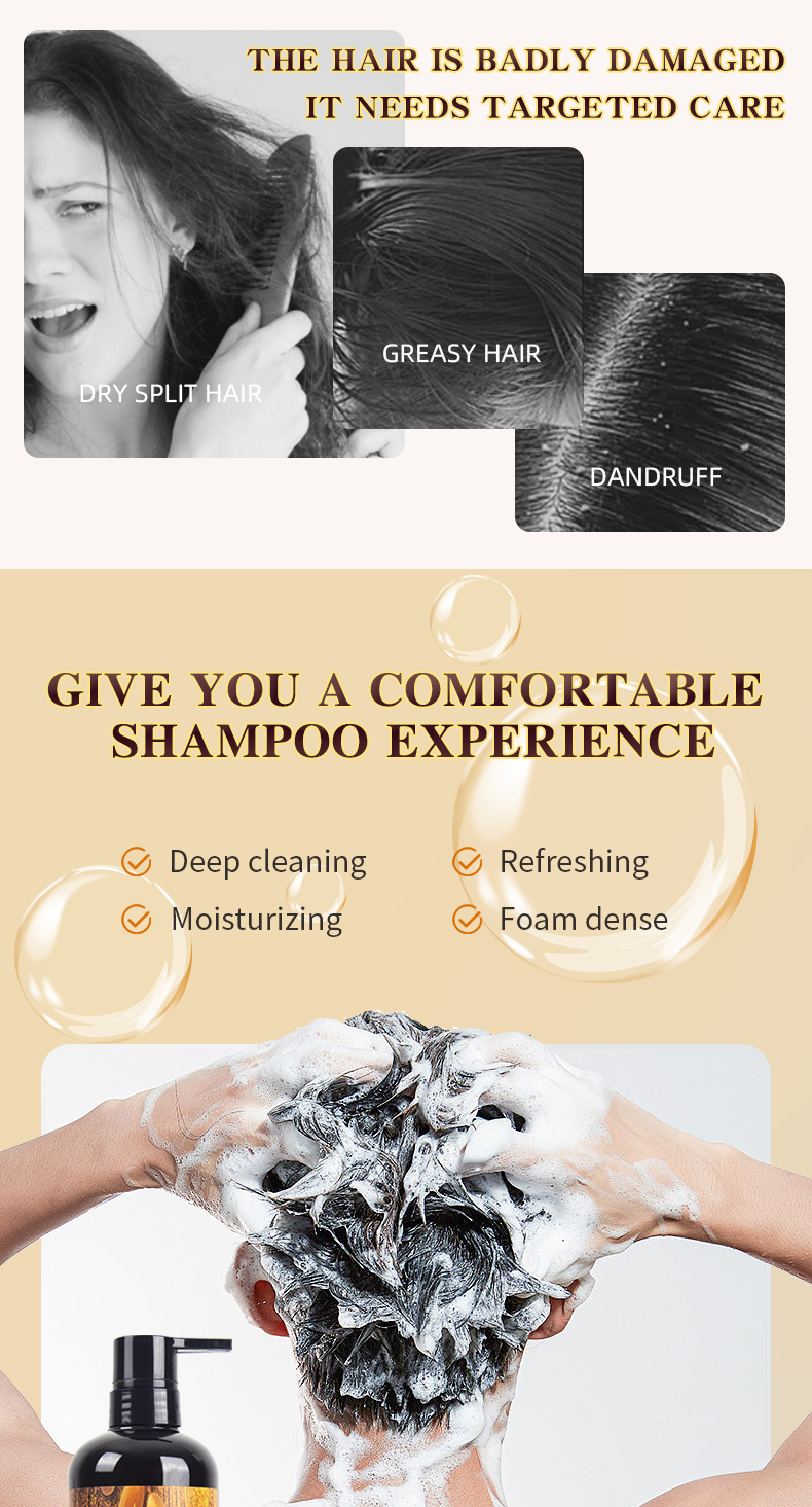 Private Label Hair Care Organic Collagen Professional Beauty Hair Anti Loss Argan Oil Shampoo and Conditioner Kit Products from China supplier