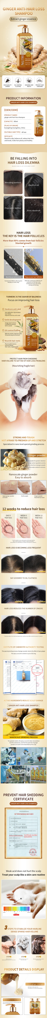 Ginger Organic Shampoo Private Label 300ml Turmeric Shampoo the Keratin Shampoo and Conditioner Set for Hair Care Treatment from China supplier