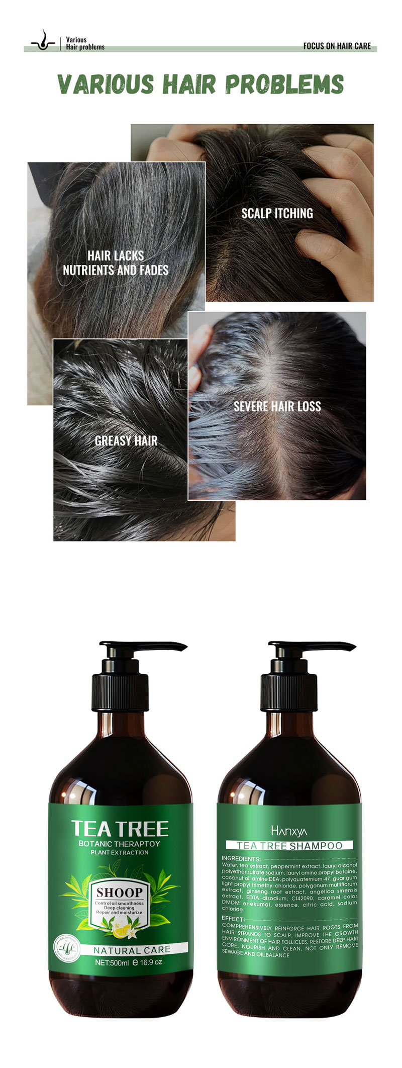 Private Label Beauty Natural Organic Hair Loss Tea Tree Oil Control Anti-Dandruff Shampoo and Conditioner Hair Loss Products from China supplier