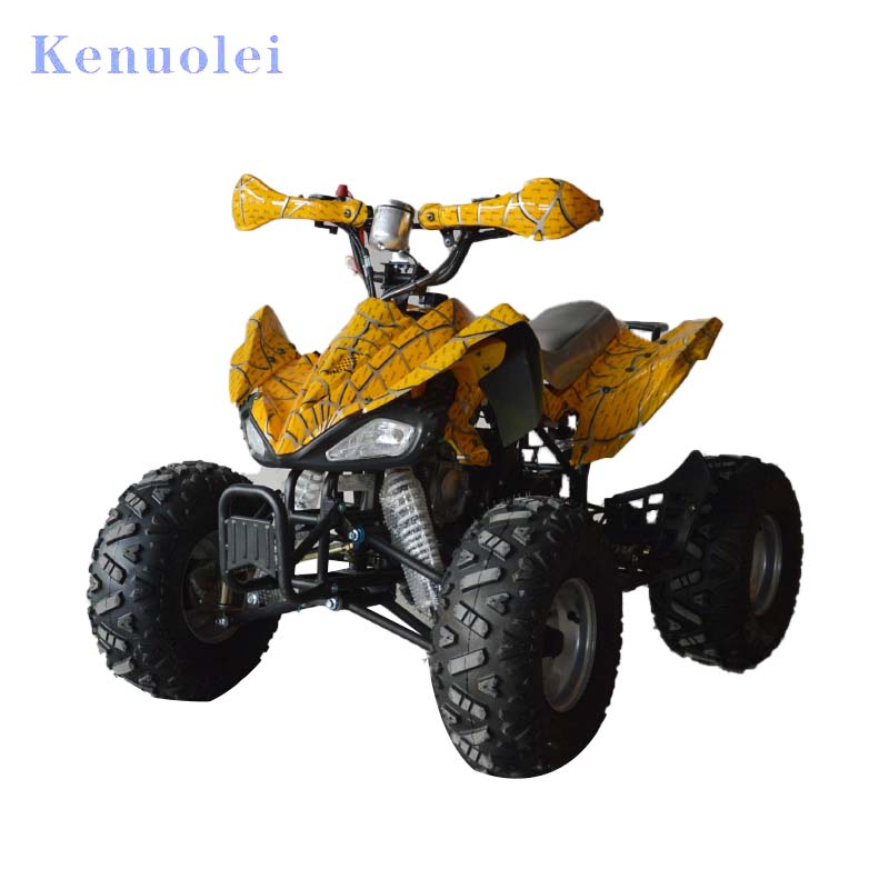 110CC ATV4x4 chinese atv body kits build your own atv kits