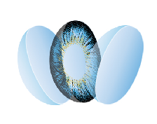 China manufacture premium cheap beauty tone prism dahab soft color colored contact lens lenses from China supplier