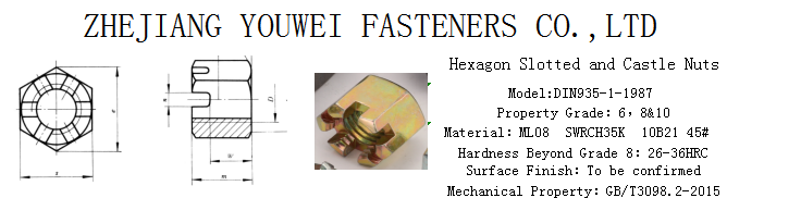 DIN935-1 China Support Customization Service Zinc Plated Castle Nuts