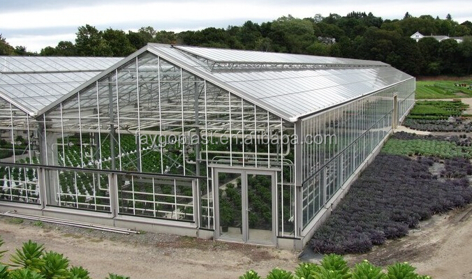 Plastic PET Sheet Extrusion Making Machinery/ PET Thermoforming Sheet Making Machine from China supplier