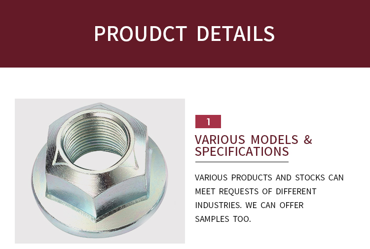 JIS B 1199-4-2001 High Standard Diferente Material Flange Plano Plano Personalizar Nças de travamento automotivo
