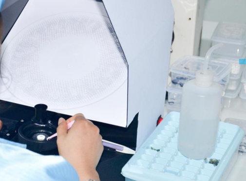 MILLCREEK 2021 fashion elite lentes de contacto color wholesale eye color lens 1 year soft coloured contact lenses from China supplier