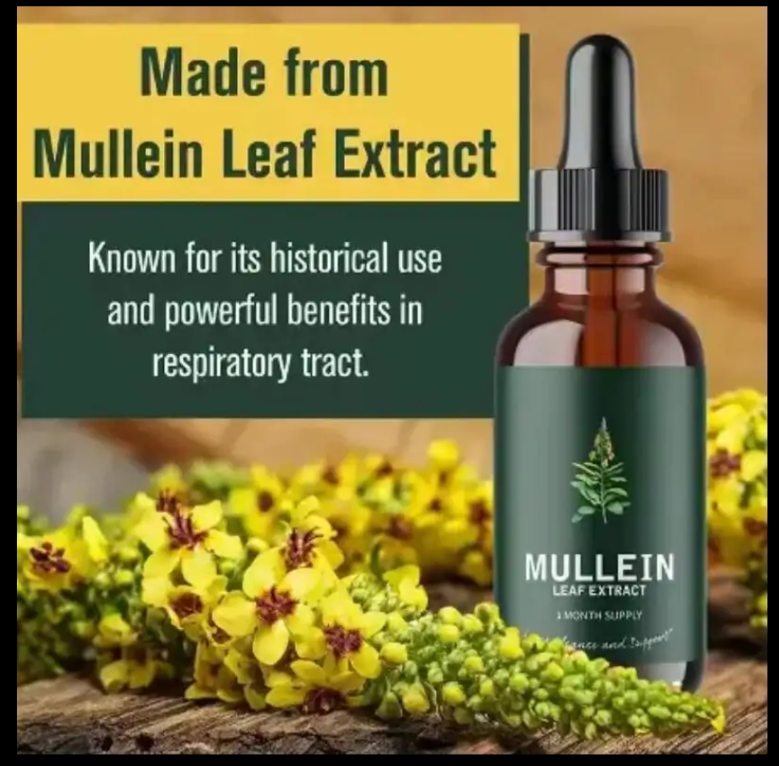 OEM Organic Mullein Leaf Extract Liquid Skin Care Serum That Helps Relieve Breathing Discomforts Promotes Respiratory Health from China supplier