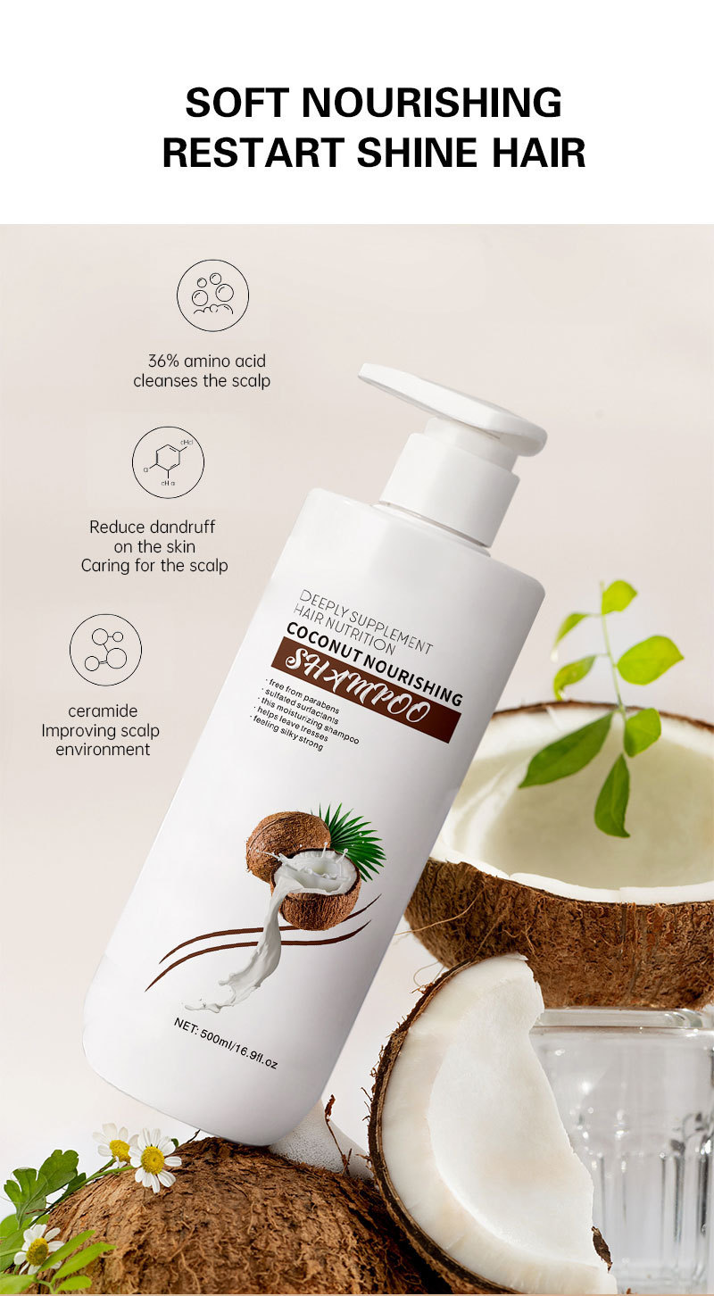 Private Label Coconut Oil Shampoo Conditioner Set Moisturizing Anti-Dandruff Organic Anti Hair Loss Beauty Women Products from China supplier