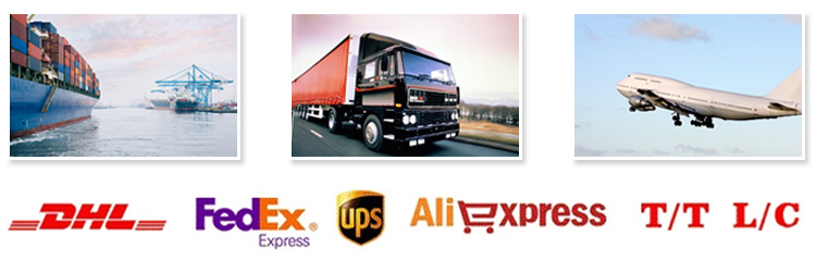 Private Label Coconut Oil Shampoo Conditioner Set Moisturizing Anti-Dandruff Organic Anti Hair Loss Beauty Women Products from China supplier