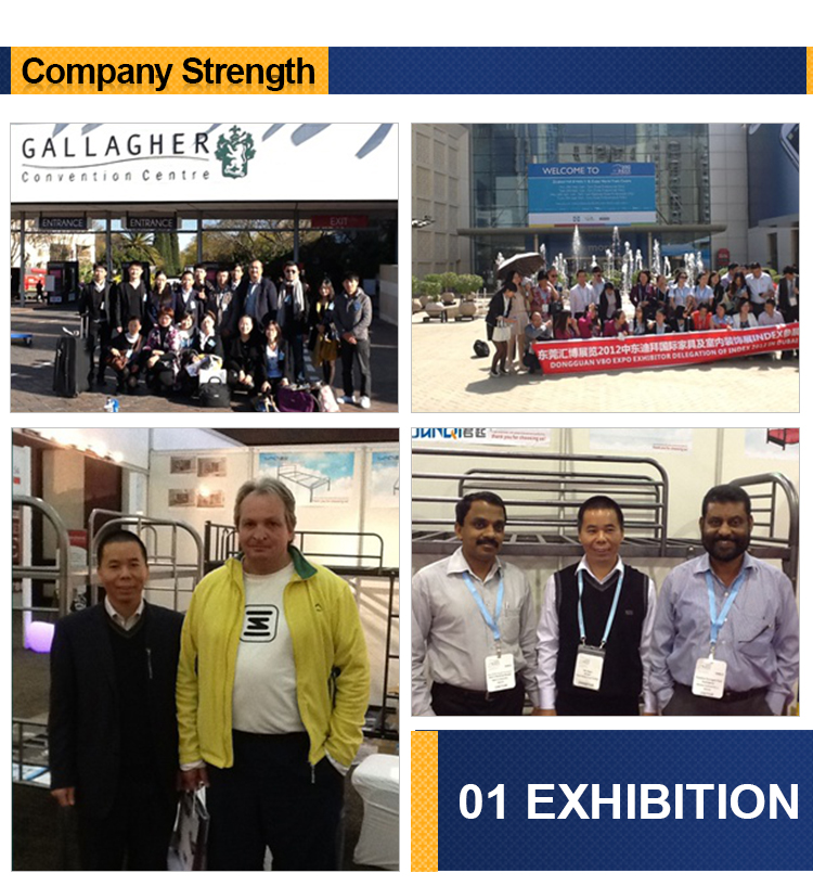 wedding chairs stainless steel velvet round back  luxury gold  hot sales cleanroom  rocking