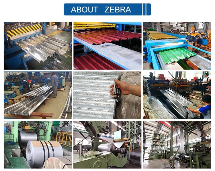 Top quality color roofing sheets steel sheet coil coated roof tile corrugated sheets from China supplier