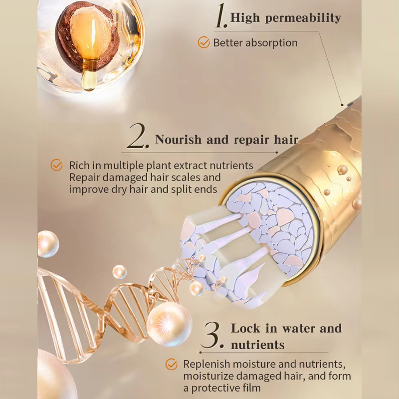 Factory Wholesale Beauty Hair Treatment Set Private Label Argan Oil Shampoo and Conditioner for Adults Cream Form from China supplier