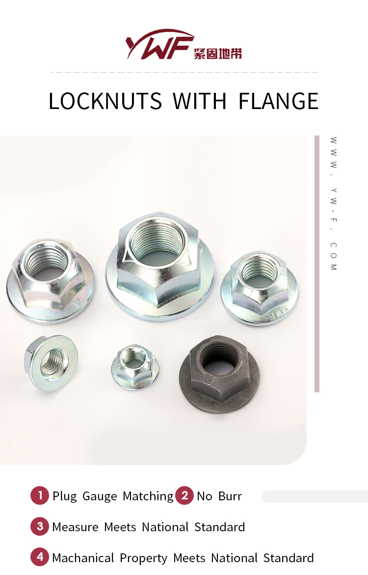 ASME B18.16.6 Chinese manufacturer hexagonal embedded nut Prevailing Torque All-Metal Type Hex  Nuts with Flange