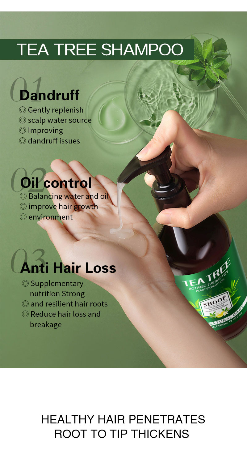 Private Label Beauty Natural Organic Hair Loss Tea Tree Oil Control Anti-Dandruff Shampoo and Conditioner Hair Loss Products from China supplier