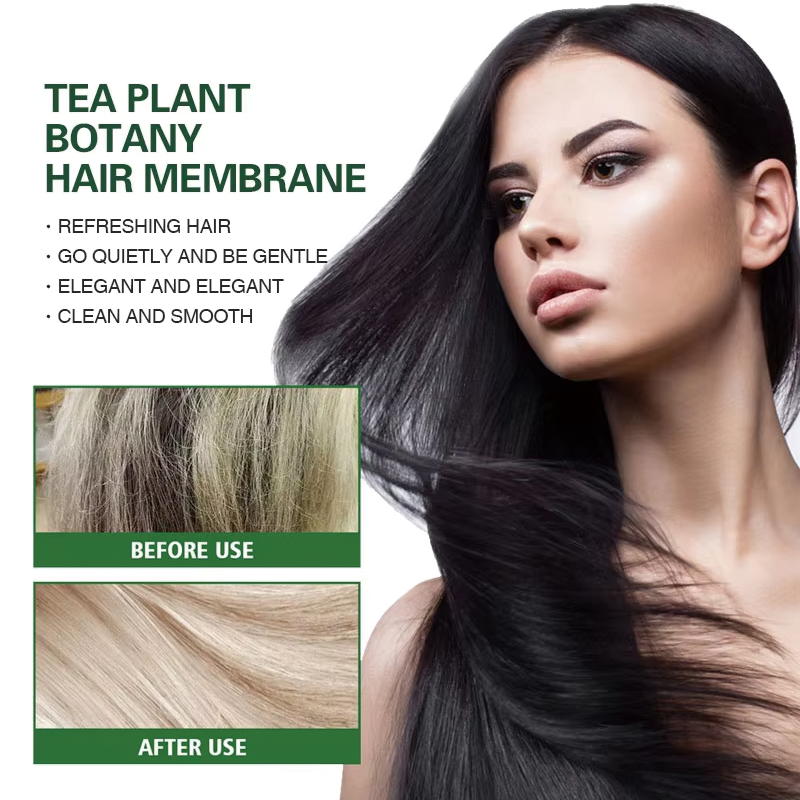 OEM ODM Professional Plant Essence Hair Care Set 500ml Volume Organic Natural Herbal Formula Cream Gel Oil in Tea Tree Style from China supplier
