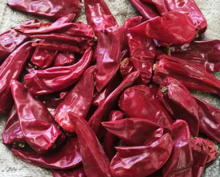 Beijing red dreid chilli in sale from China supplier
