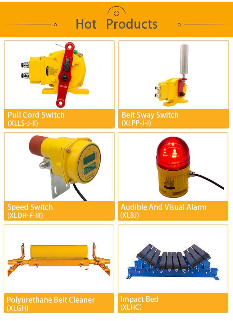 Conveyor emergency stop device pull cord switch