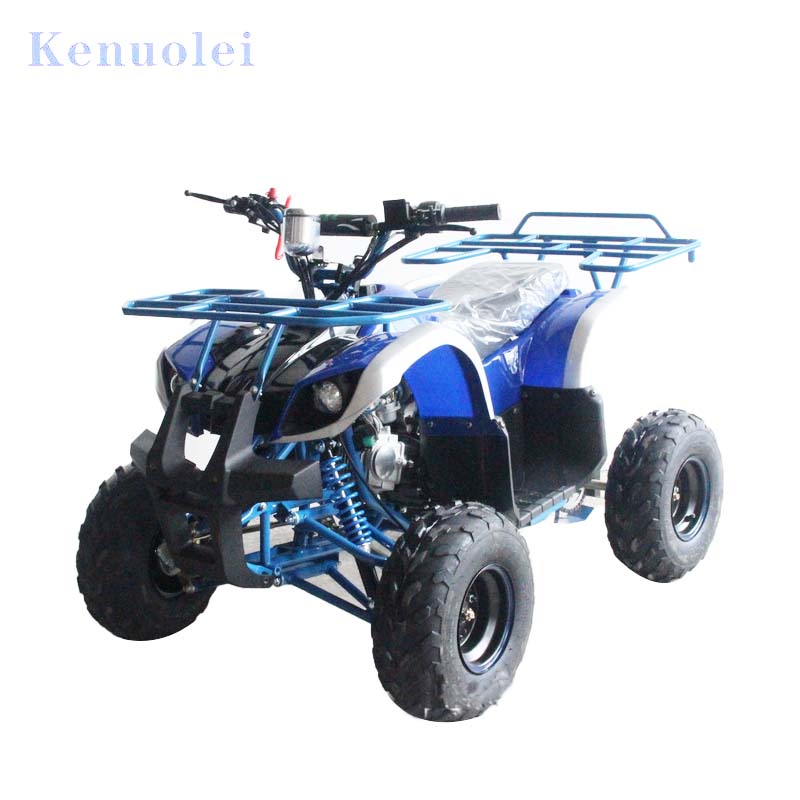 110CC ATV4x4 chinese atv body kits build your own atv kits