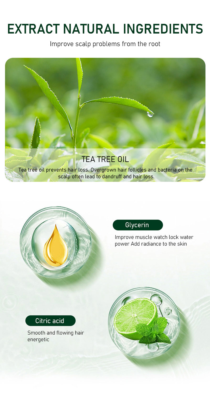 Private Label Beauty Natural Organic Hair Loss Tea Tree Oil Control Anti-Dandruff Shampoo and Conditioner Hair Loss Products from China supplier