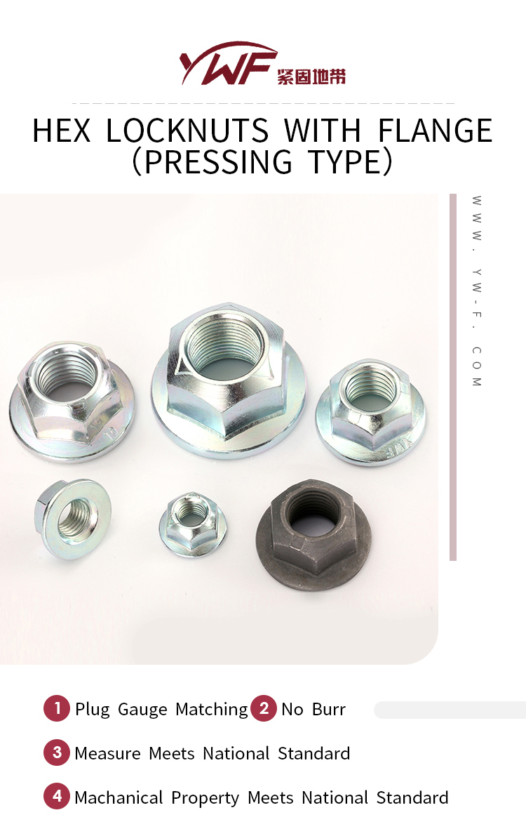 JIS B 1199-4-2001 High Standard Diferente Material Flange Plano Plano Personalizar Nças de travamento automotivo