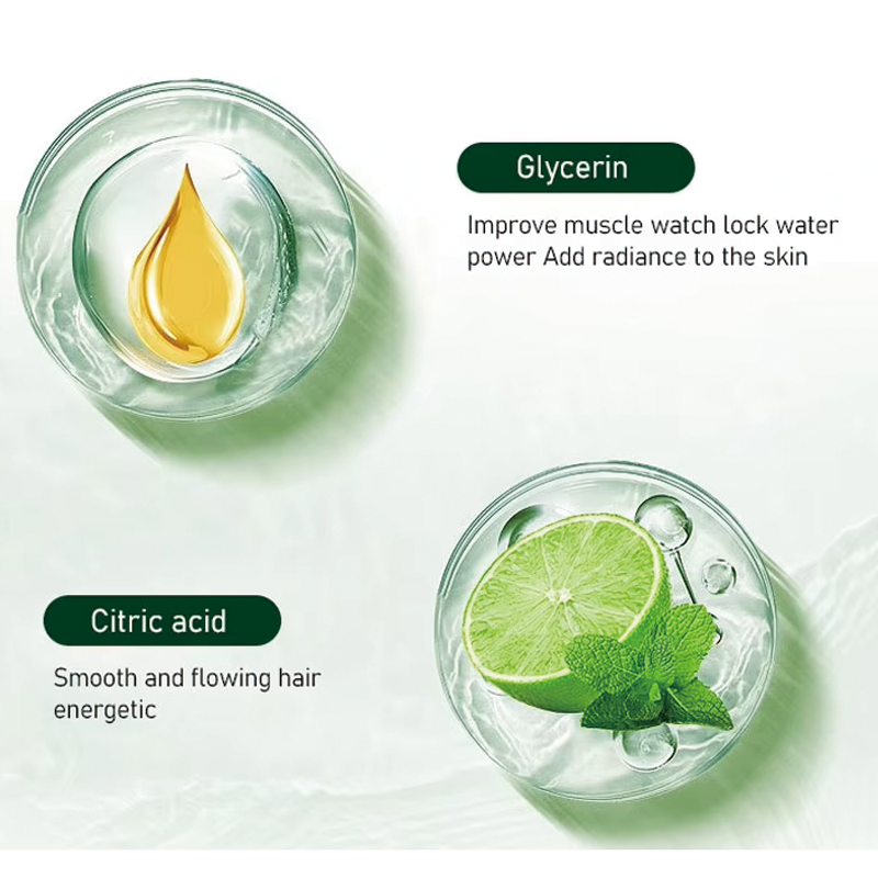 OEM ODM Professional Plant Essence Hair Care Set 500ml Volume Organic Natural Herbal Formula Cream Gel Oil in Tea Tree Style from China supplier