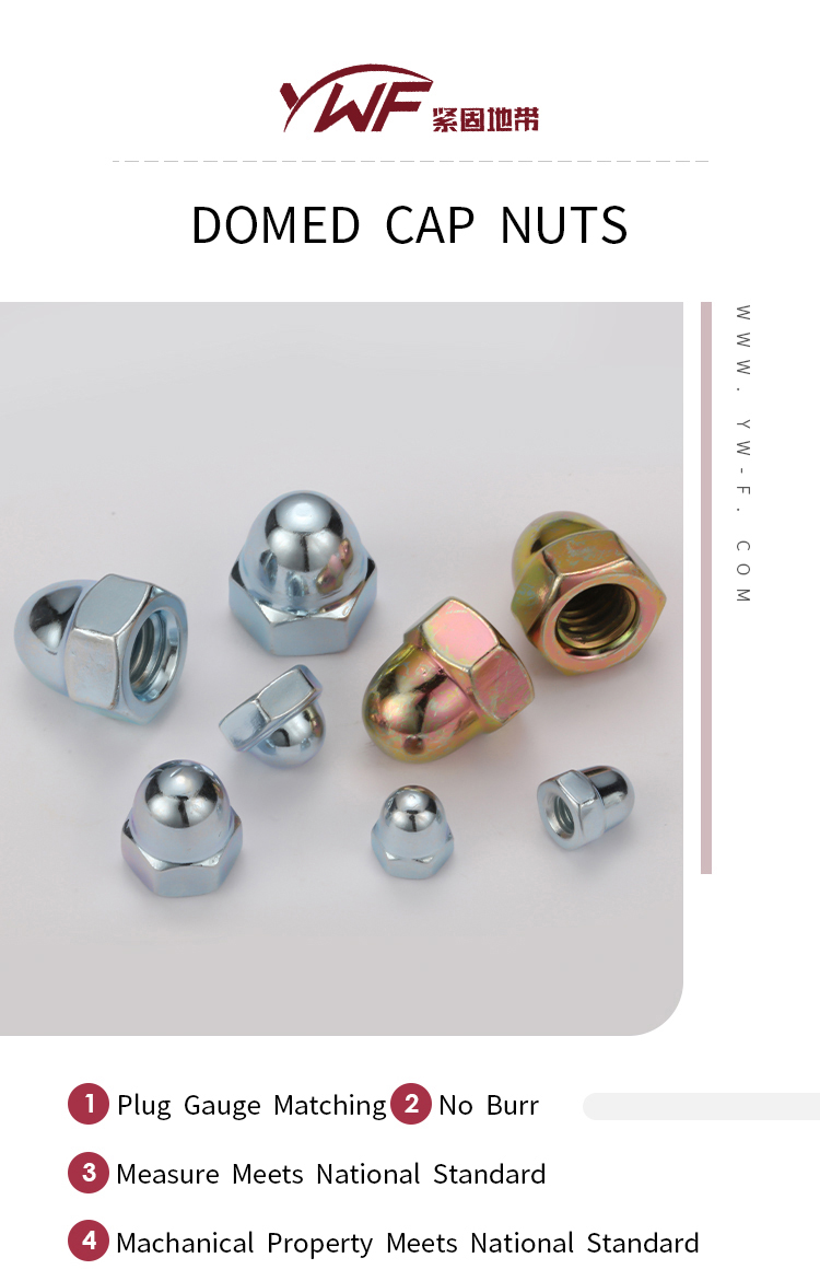 DIN1587 Support  Customization Heavy Industry Steel Cap Nut